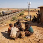 Zimbabwe Mourns Chivayo Family as Drought, Rail and Digital Priorities Shape National Conversation